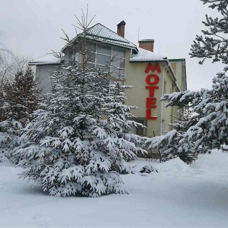 Motel Karpaty Viking Nizhneye Sinevidnoye Zewnętrze zdjęcie
