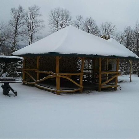 Motel Karpaty Viking Nizhneye Sinevidnoye Zewnętrze zdjęcie