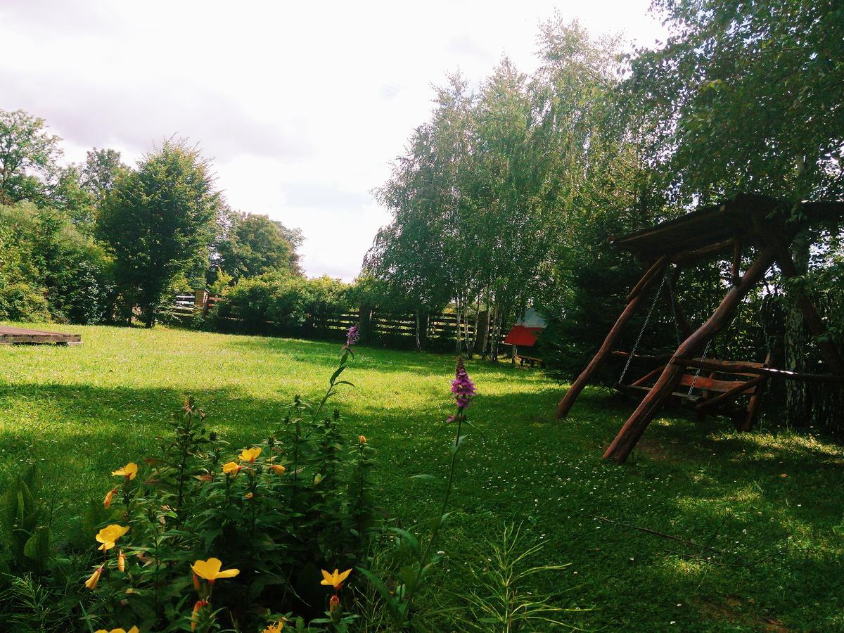 Motel Karpaty Viking Nizhneye Sinevidnoye Zewnętrze zdjęcie