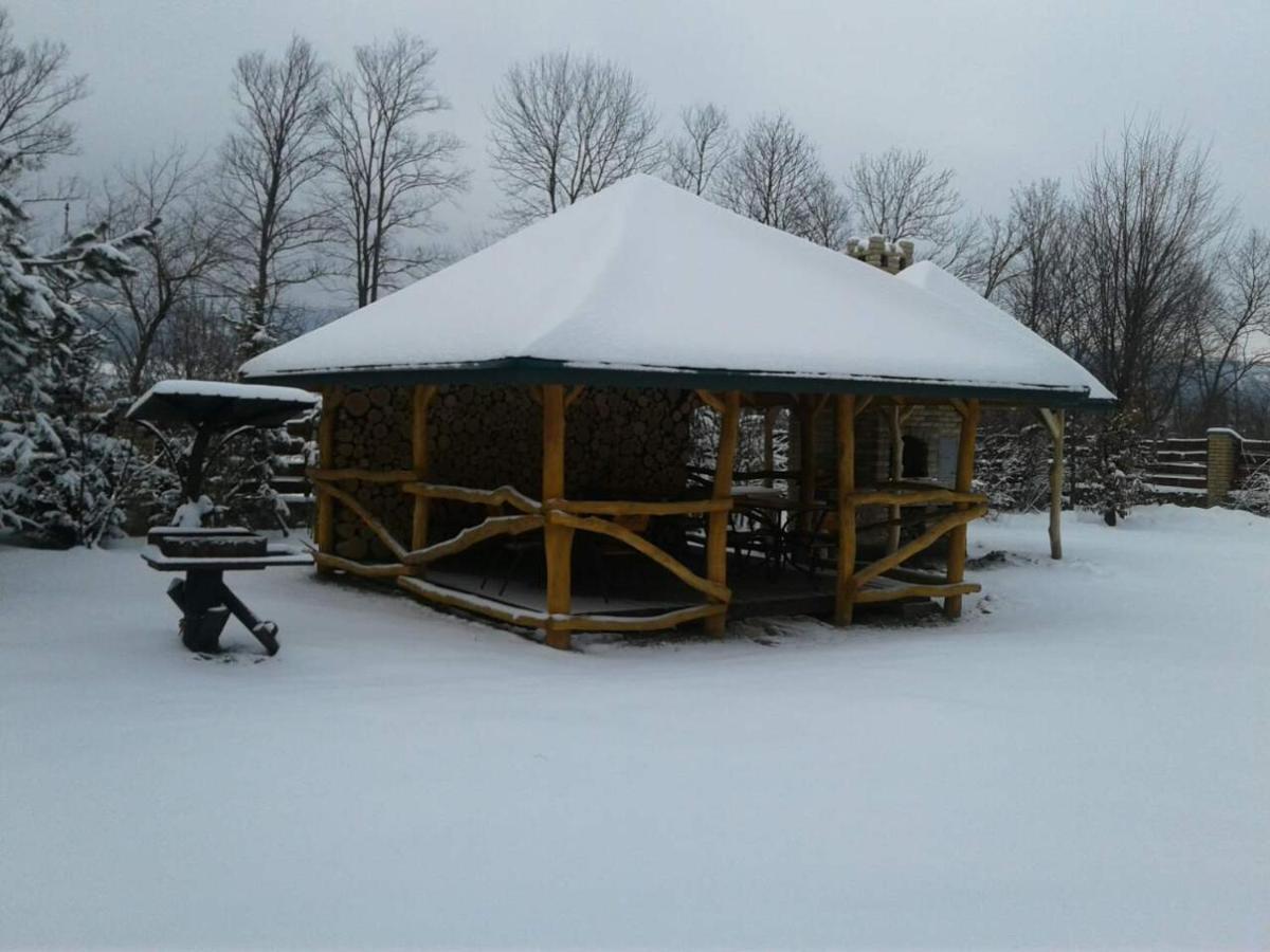Motel Karpaty Viking Nizhneye Sinevidnoye Zewnętrze zdjęcie