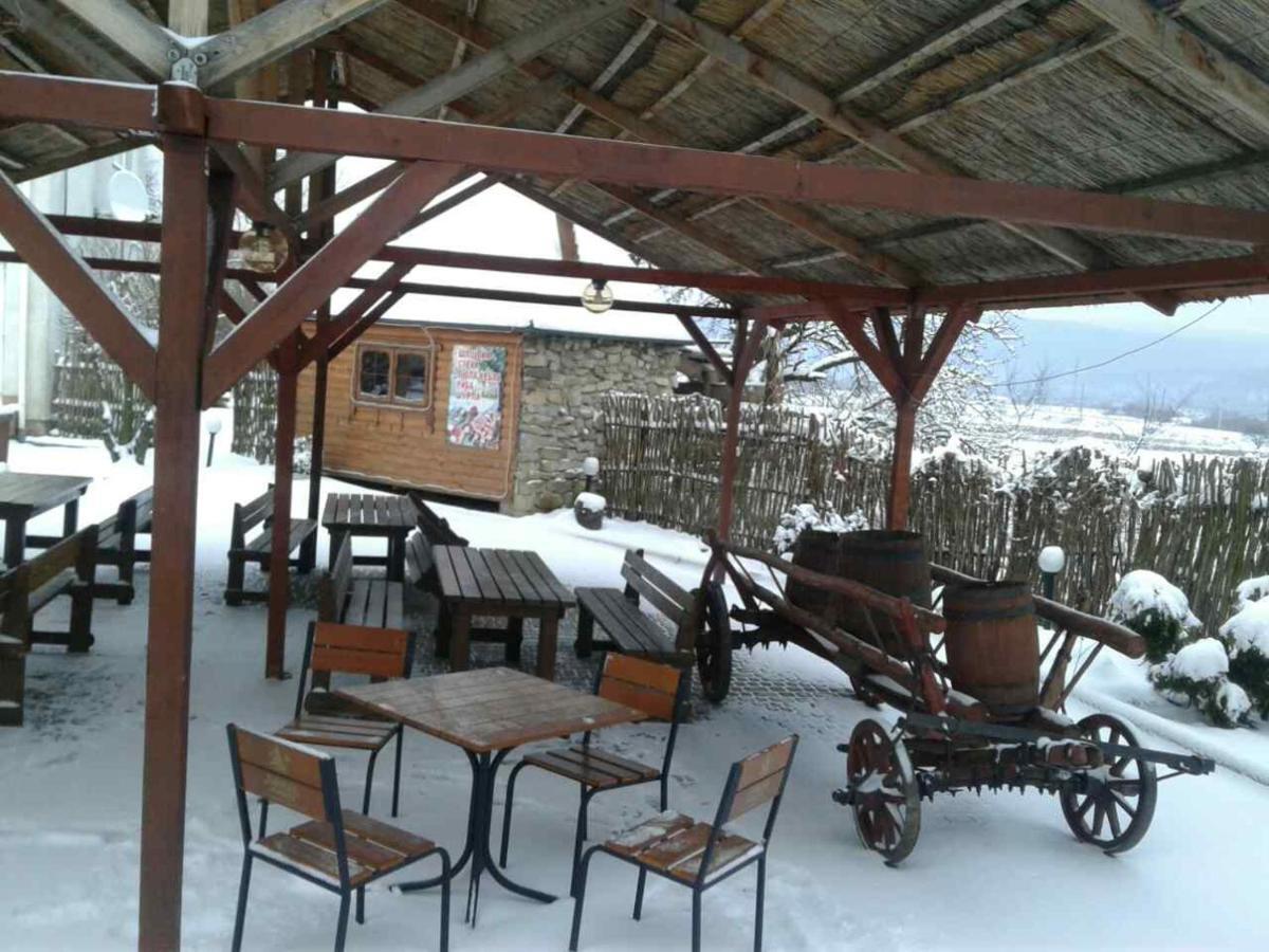 Motel Karpaty Viking Nizhneye Sinevidnoye Zewnętrze zdjęcie